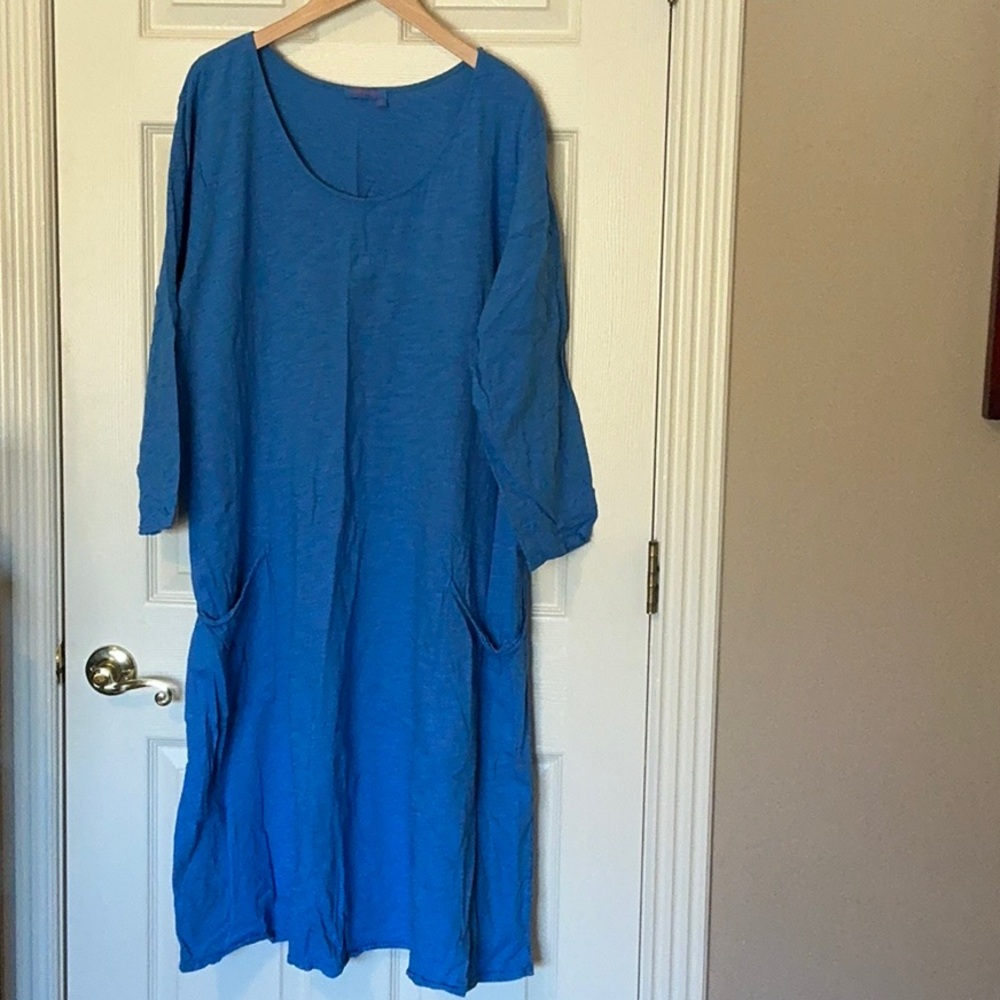 Vintage 3X Fresh Produce Dalia dress EUC